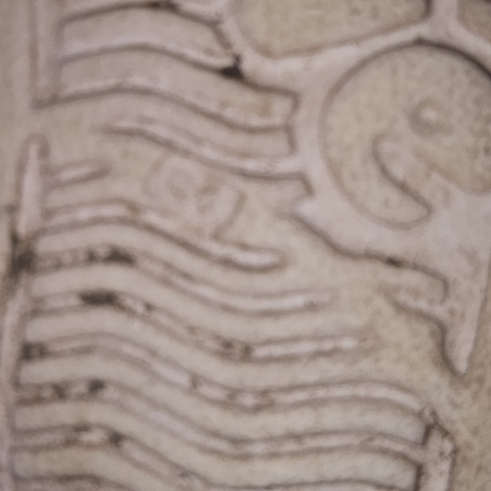 Native Shoes - Picture 6 of 7